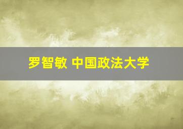 罗智敏 中国政法大学